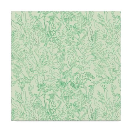Trademark Fine Art Sher Sester 'Seaweed Green' Canvas Art, 14x14 ALI20709-C1414GG
